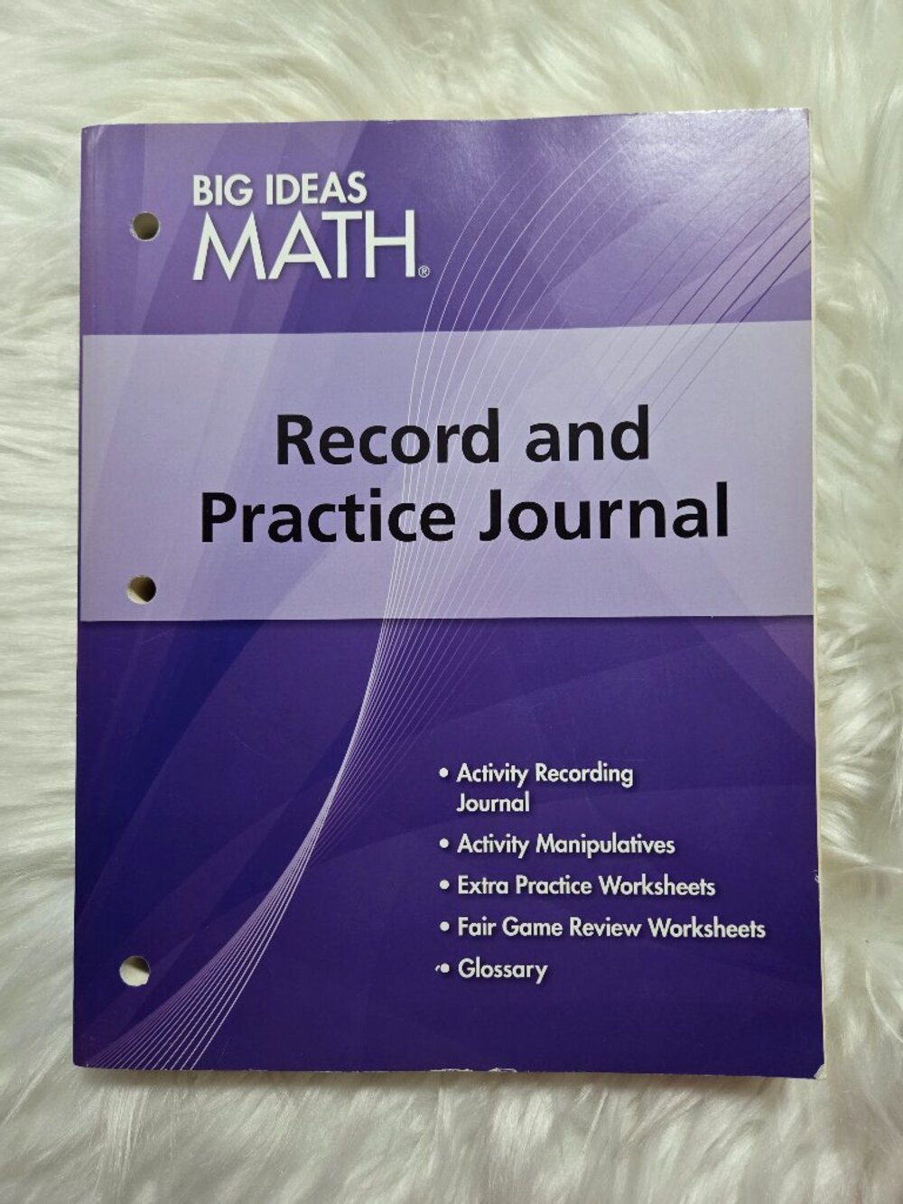 Big Ideas Math Record and Practice Journal (Algebra 1)